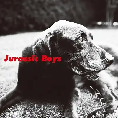 JURASSIC BOYS / SAMEΥʥ쥳ɥ㥱å ()
