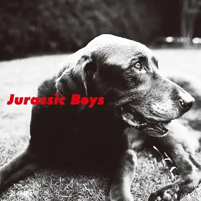 JURASSIC BOYS / SAMEのアナログレコードジャケット (準備中)