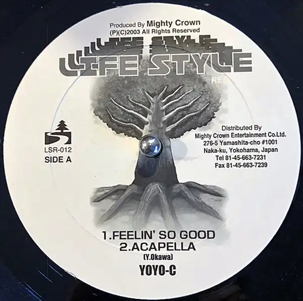 YOYO-CPAPA B & BOOGIE MAN / FEELIN' SO GOODDANCEHALL HISTORY