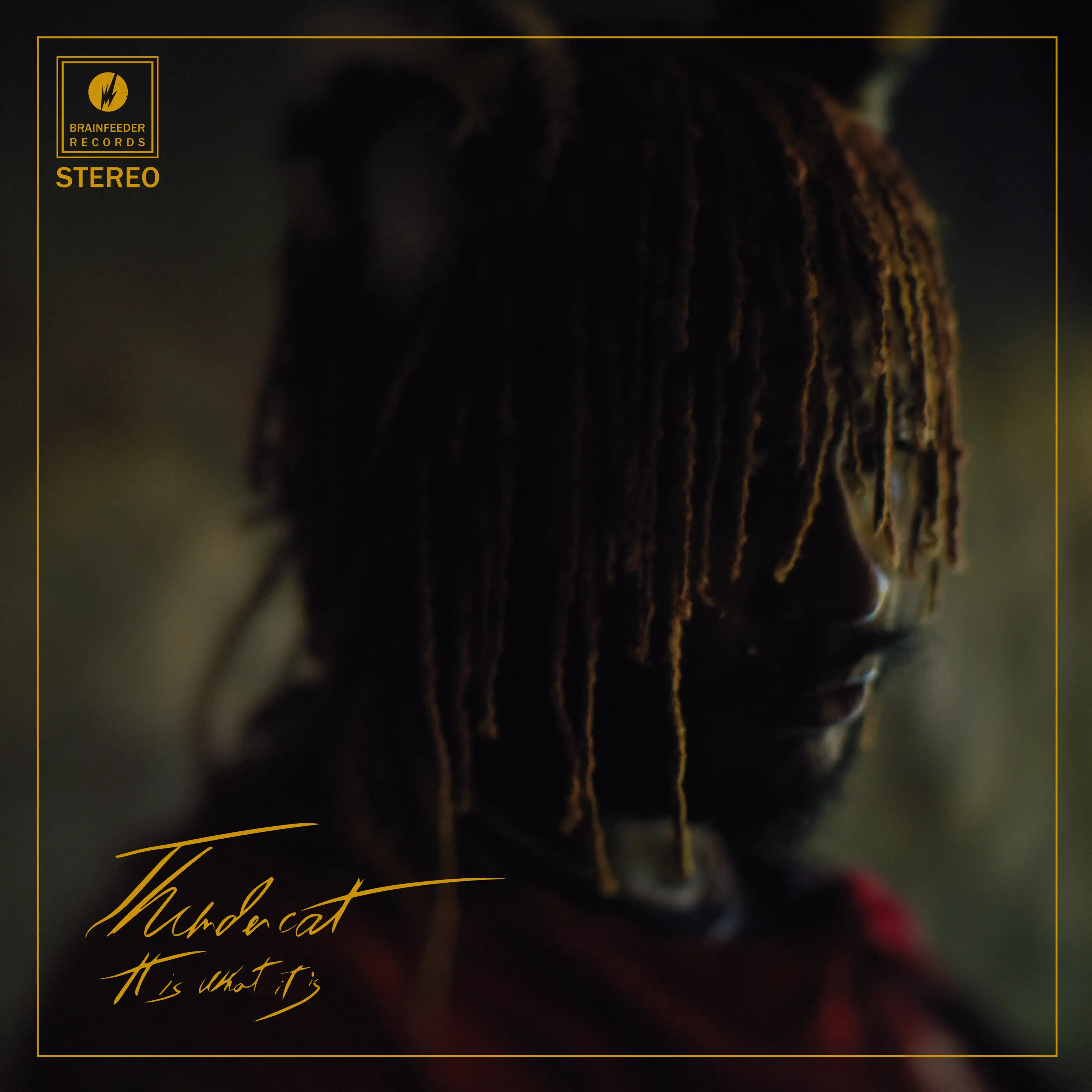 THUNDERCAT / IT IS WHAT IT IS Υʥ쥳ɥ㥱å ()