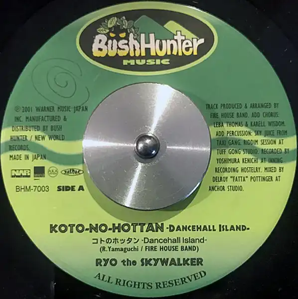 RYO THE SKYWALKER / KOTO-NO-HOTTAN（コトのホッタン）