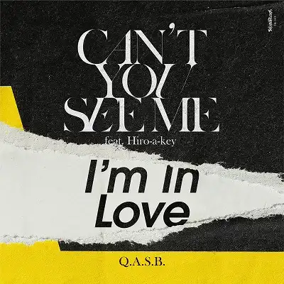 Q.A.S.B. / CANT YOU SEE ME FEAT. HIRO-A-KE  I'M IN LOVE