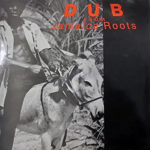 VARIOUS (HIGH TIMES BANDSTUDIO ONE BAND) / DUB FROM JAMAICA ROOTS