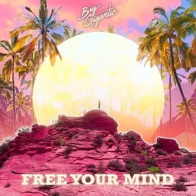 BIG GIGANTIC / FREE YOUR MINDΥʥ쥳ɥ㥱å ()