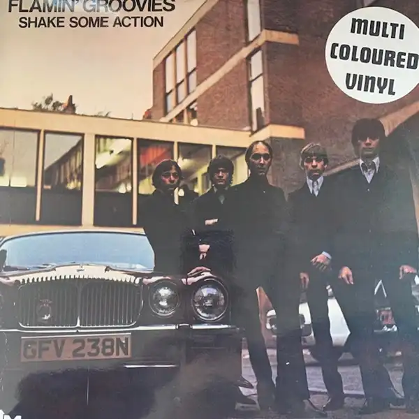 FLAMIN GROOVIES / SHAKE SOME ACTION
