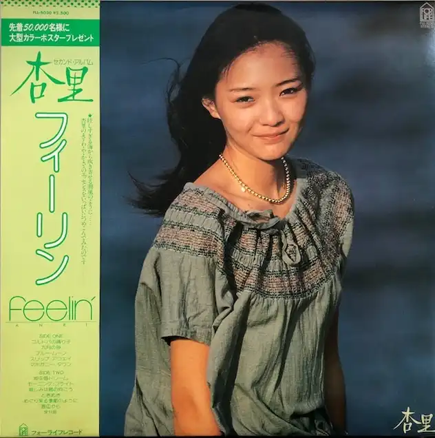 杏里 レコード anri voice to voice 和モノ city pop杏里 city 