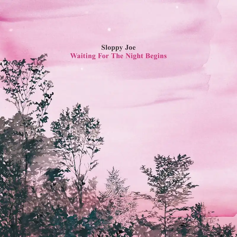 SLOPPY JOE / WAITING FOR THE NIGHT BEGINSΥʥ쥳ɥ㥱å ()