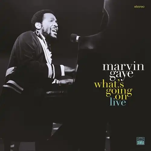 MARVIN GAYE / WHAT'S GOING ON LIVE