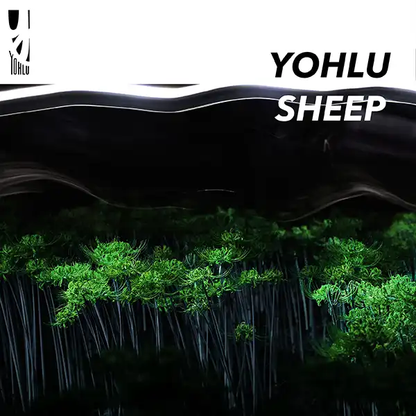 YOHLU / SHEEP (7INCH EDIT) ／ &I