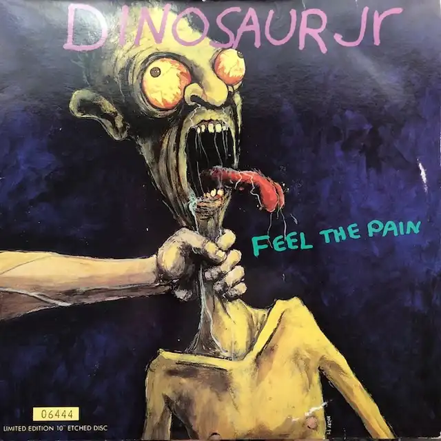 DINOSAUR JR. / FEEL THE PAIN