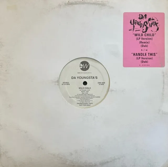 DA YOUNGSTA'S / WILD CHILD ／ HANDLE THIS (PROMO)