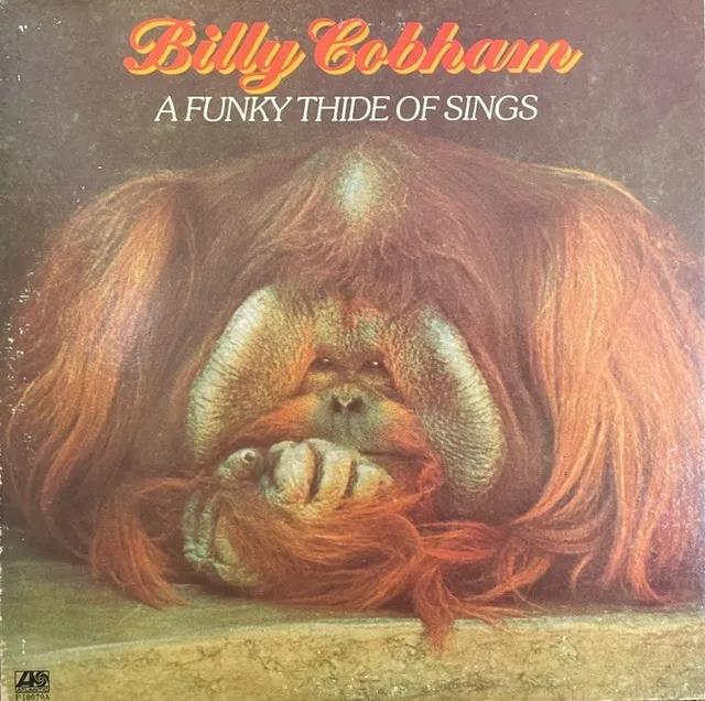 BILLY COBHAM / A FUNKY THIDE OF SINGS