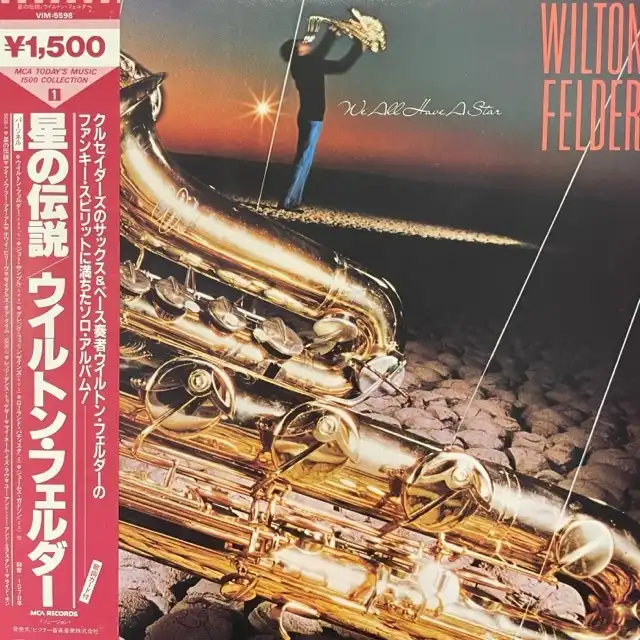 WILTON FELDER / WE ALL HAVE A STANΥʥ쥳ɥ㥱å ()