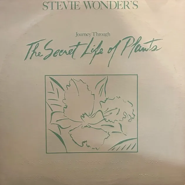 STEVIE WONDER / JOURNEY THROUGH THE SECRET LIFE
