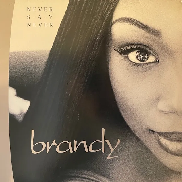 BRANDY / NEVER SAY NEVER