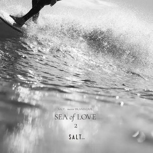 VARIOUS (TOKIMEKI RECORDS、HANAH SPRING) / SALT... MEET ISLAND CAFE -SEA OF LOVE 2