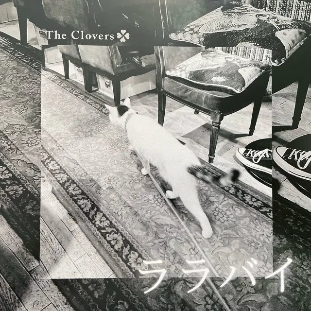 CLOVERS ／ PETERSFIELD / ララバイ ／ AFTERHOURS