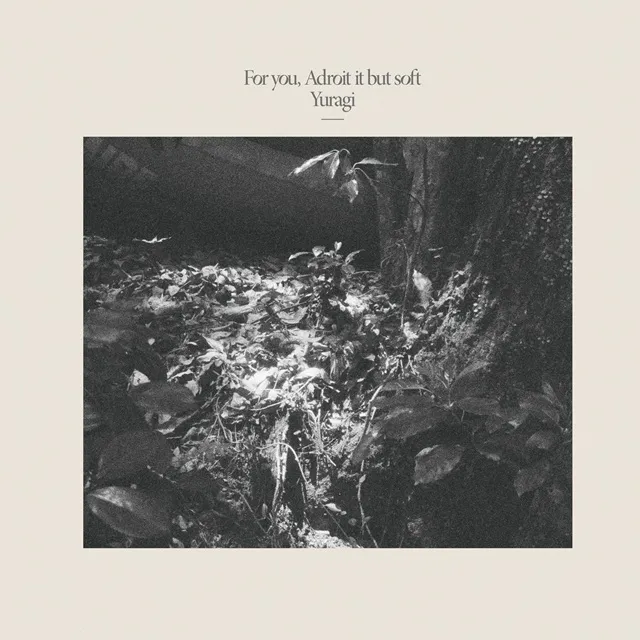 揺らぎ / FOR YOU, ADROIT IT BUT SOFT