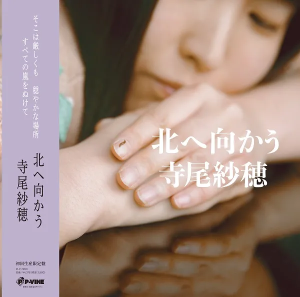寺尾紗穂 / 北へ向かう