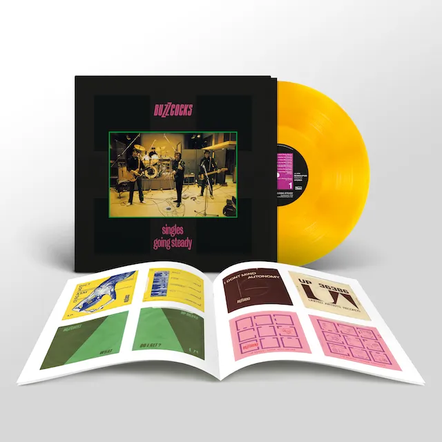 BUZZCOCKS / SINGLES GOING STEADY (45TH ANNIVERSARY EDITION)Υʥ쥳ɥ㥱å ()