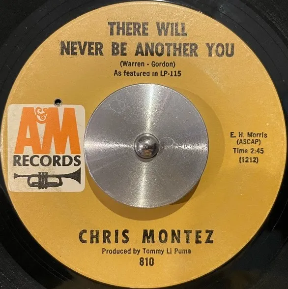 CHRIS MONTEZ / THERE WILL NEVER BE ANOTHER YOU ／ YOU CAN HURT THE ONE YOU LOVE