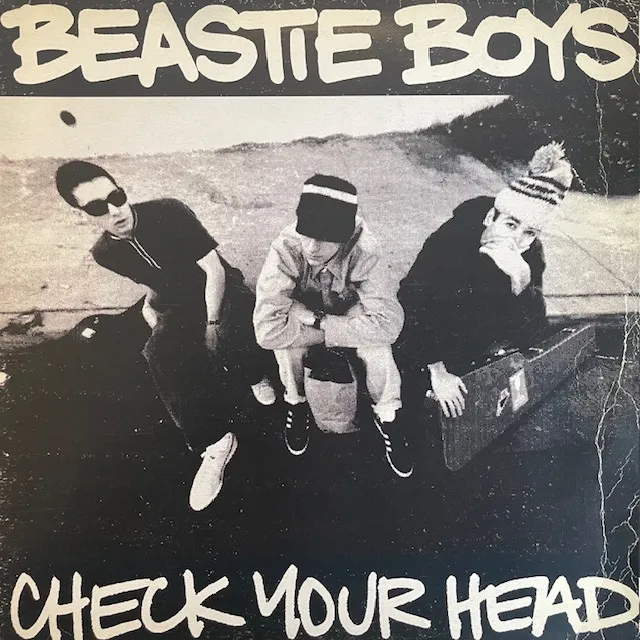 BEASTIE BOYS / CHECK YOUR HEAD