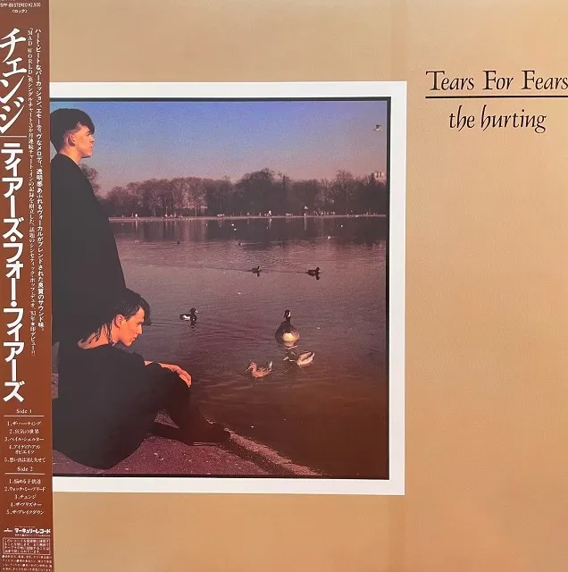 TEARS FOR FEARS / HURTING