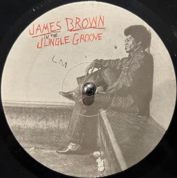 JAMES BROWN / IN THE JUNGLE GROOVE