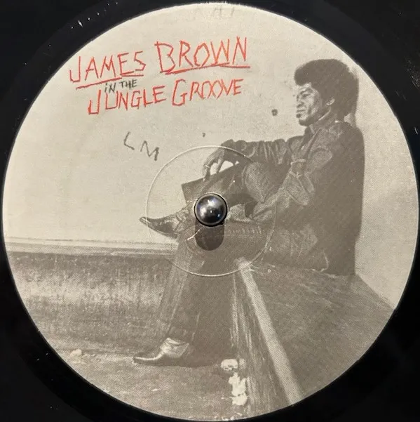 JAMES BROWN / IN THE JUNGLE GROOVEΥʥ쥳ɥ㥱å ()