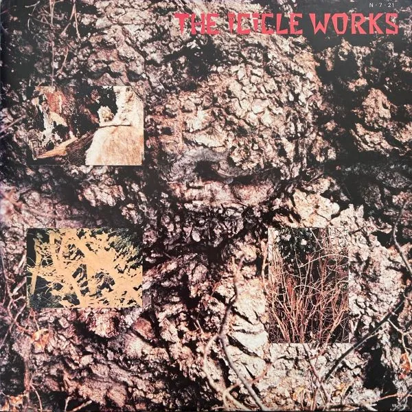 ICICLE WORKS / SAMEΥʥ쥳ɥ㥱å ()