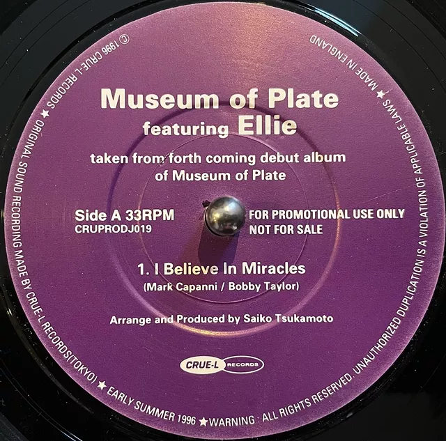 MUSEUM OF PLATE FEATURING ELLIE / I BELIEVE IN MIRACLES