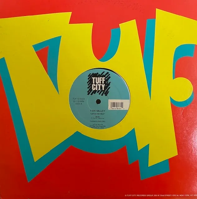 T-SKI VALLEY / CATCH THE BEAT