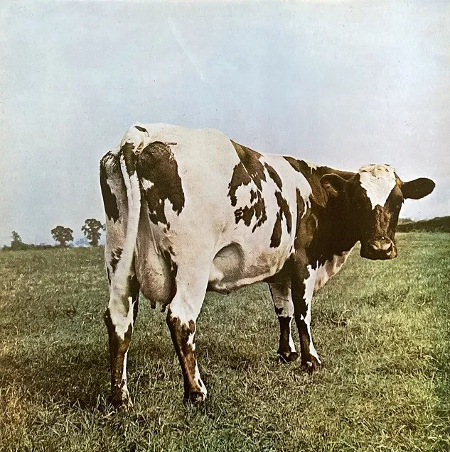 PINK FLOYD / ATOM HEART MOTHERΥʥ쥳ɥ㥱å ()