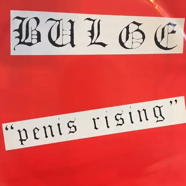 BULGE / PENIS RISING