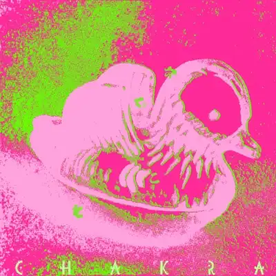 チャクラ / さてこそ (2ND PRESS)