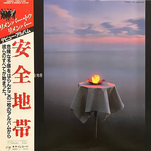 安全地帯 / REMEMBER TO REMEMBER