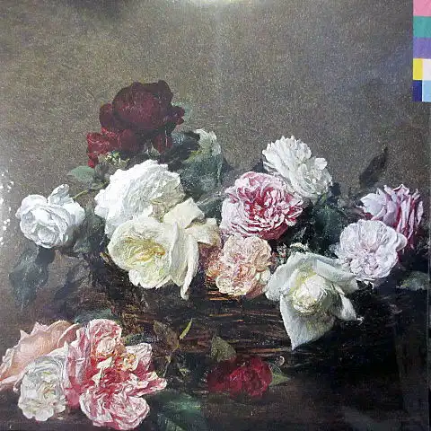 NEW ORDER / POWER CORRUPTION & LIES