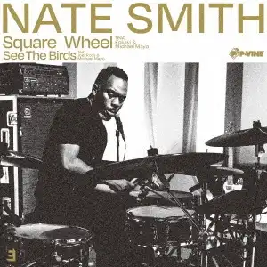 NATE SMITH / SQUARE WHEEL  SEE THE BIRDS