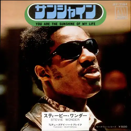 STEVIE WONDER / YOU ARE THE SUNSHINE OF MY LIFE