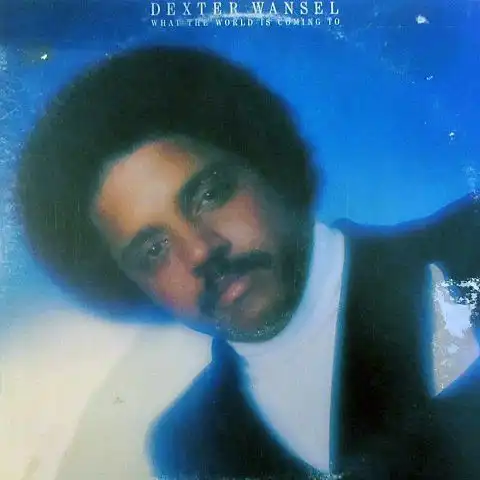 DEXTER WANSEL / WHAT THE WORLD IS COMING TO