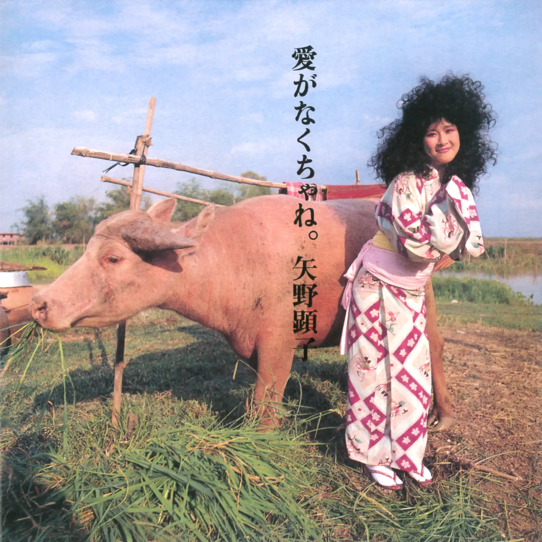 矢野顕子 / 愛がなくちゃね。