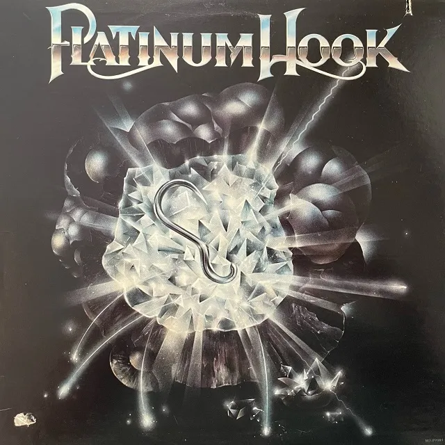 PLATINUM HOOK / SAMEΥʥ쥳ɥ㥱å ()