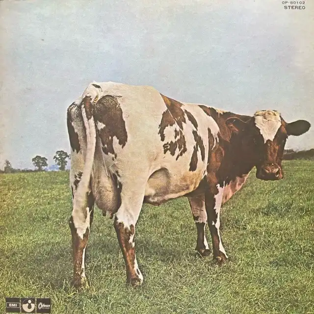 PINK FLOYD / ATOM HEART MOTHERΥʥ쥳ɥ㥱å ()